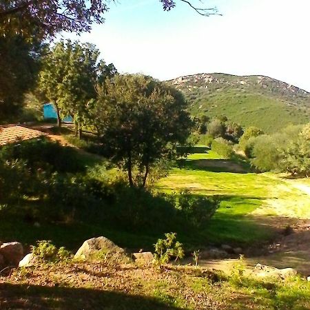Loiri Porto San Paolo Farm Stay Gli Oleandri المظهر الخارجي الصورة