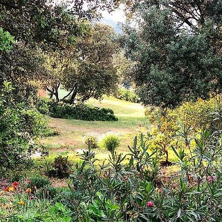 Loiri Porto San Paolo Farm Stay Gli Oleandri المظهر الخارجي الصورة