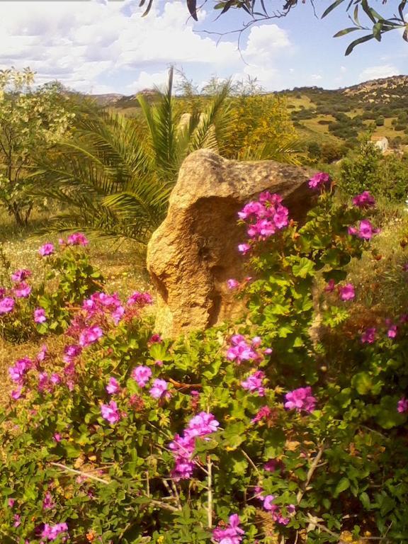 Loiri Porto San Paolo Farm Stay Gli Oleandri المظهر الخارجي الصورة