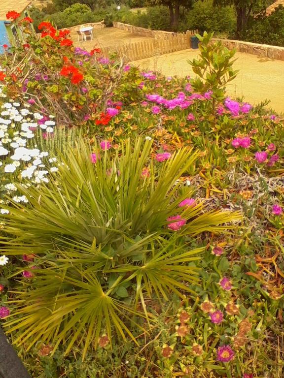 Loiri Porto San Paolo Farm Stay Gli Oleandri المظهر الخارجي الصورة
