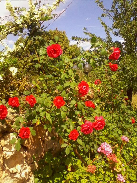 Loiri Porto San Paolo Farm Stay Gli Oleandri المظهر الخارجي الصورة