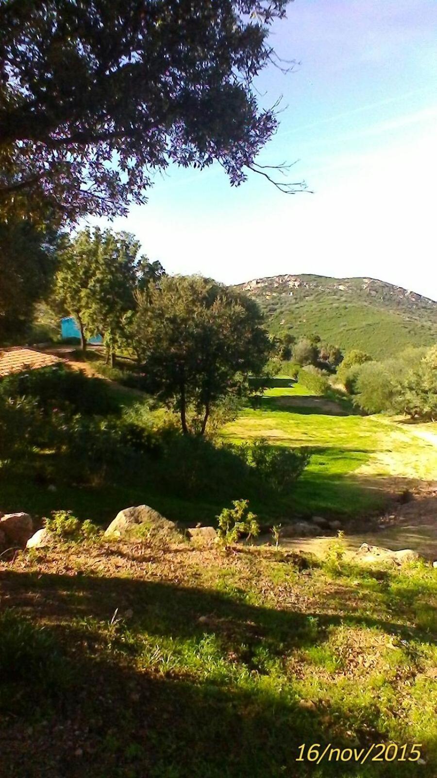 Loiri Porto San Paolo Farm Stay Gli Oleandri المظهر الخارجي الصورة