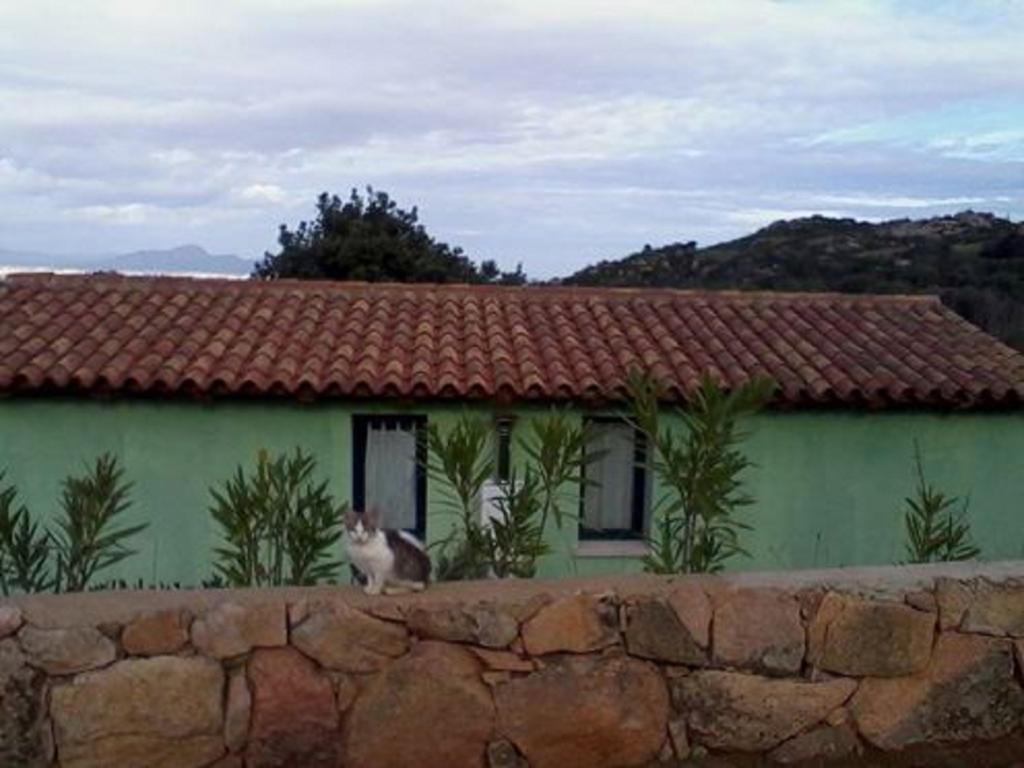 Loiri Porto San Paolo Farm Stay Gli Oleandri المظهر الخارجي الصورة