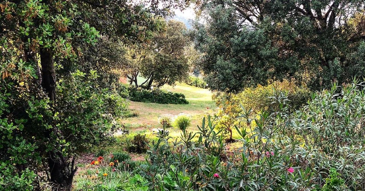 Loiri Porto San Paolo Farm Stay Gli Oleandri المظهر الخارجي الصورة
