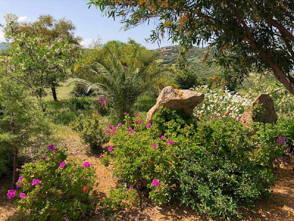 Loiri Porto San Paolo Farm Stay Gli Oleandri المظهر الخارجي الصورة