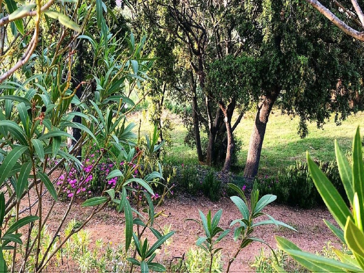 Loiri Porto San Paolo Farm Stay Gli Oleandri المظهر الخارجي الصورة
